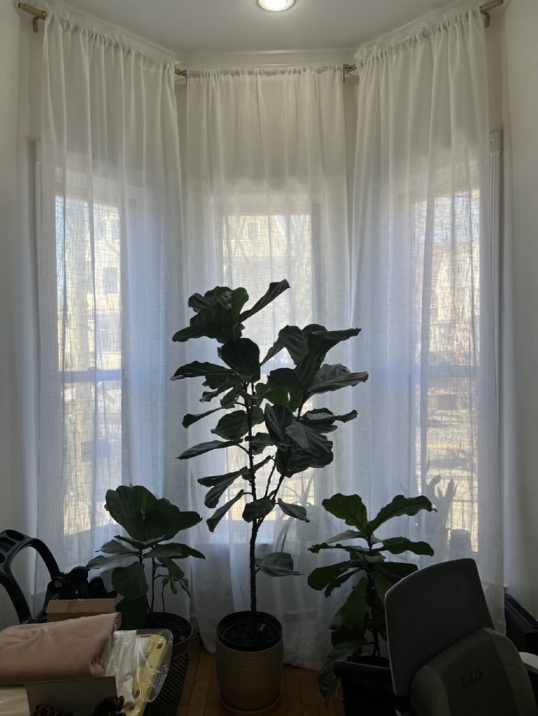 Interior finish refresh — Home punch lists project photo