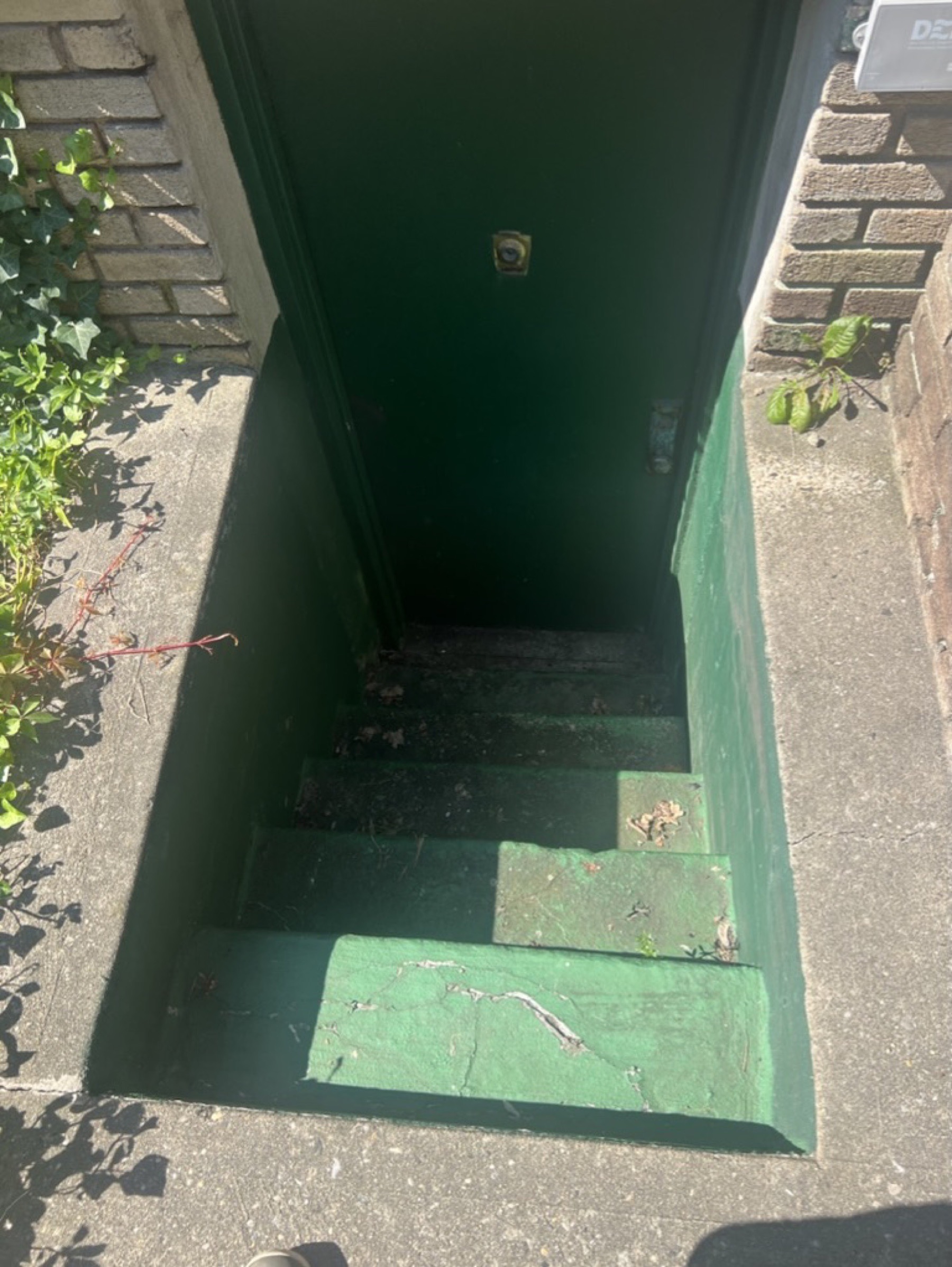 Exterior threshold repair — Doors & trim project photo