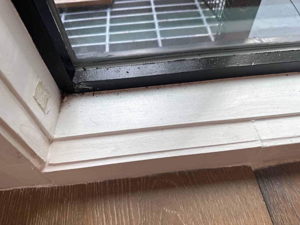 Related views of an exterior stair and entry repair