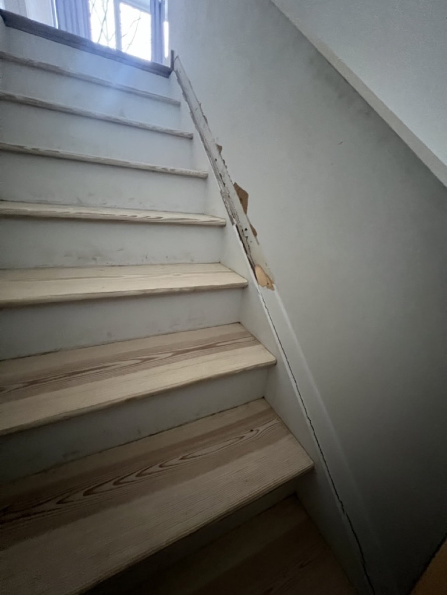 Stair tread finish — Doors & trim project photo